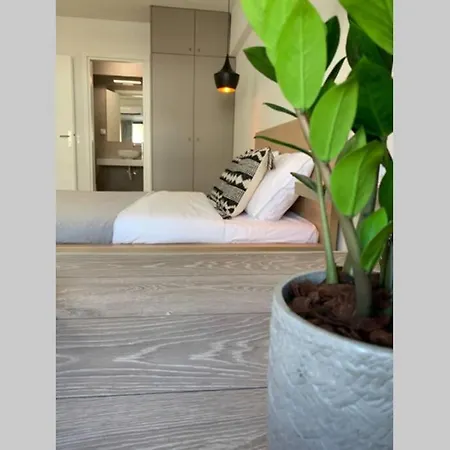 Aelia Luxury House *